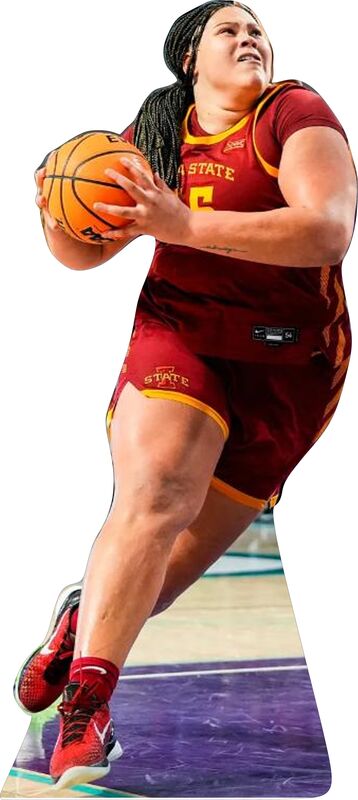 AUDI CROOKS RED #55 72" TALL CARDBOARD CUTOUT STANDEE - PARTY DECOR