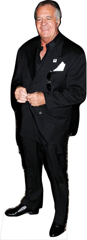 TONY SIRICO 70" TALL CARDBOARD CUTOUT STANDEE - PARTY DECOR