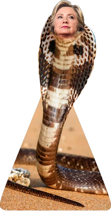 TRUMP  DRAIN THE SWAMP CREATURE #1 72" TALL CARDBOARD CUTOUT STANDEE - PARTY DECOR