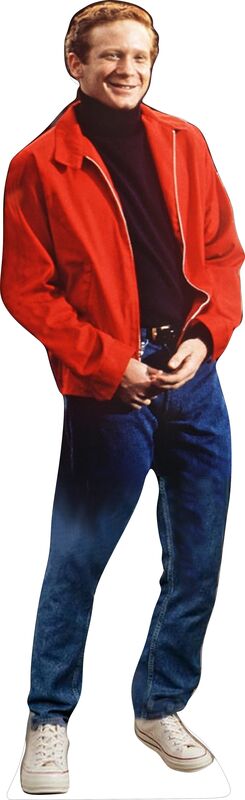 HAPPY DAYS #1 RALPH MALPH 70" TALL CARDBOARD CUTOUT STANDEE - PARTY DECOR