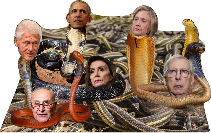 TRUMP  SNAKE STORY 46" WIDE CARDBOARD CUTOUT  - PARTY WALL DECOR