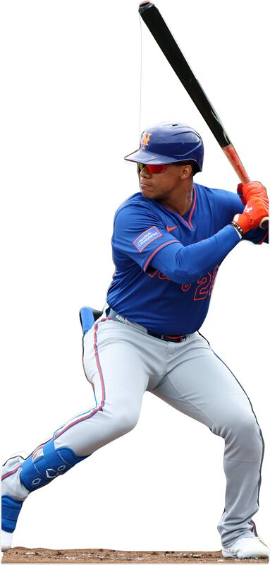 JUAN SOTO 91" TALL CARDBOARD CUTOUT STANDEE - PARTY DECOR