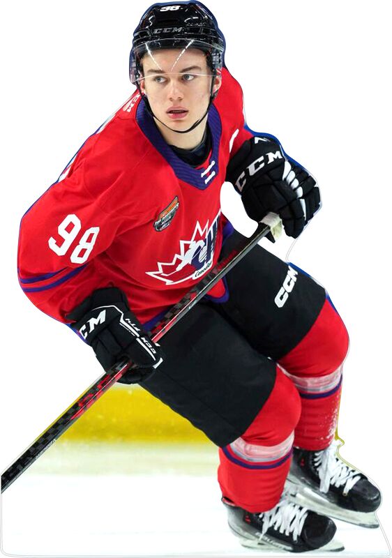 CONNOR BEDARD CHICAGO BLACKHAWKS 66" TALL CARDBOARD CUTOUT STANDEE - PARTY DECOR (Copy) (Copy) (Copy) (Copy) (Copy) (Copy)